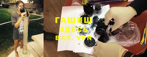 PSILOCYBIN Бородино